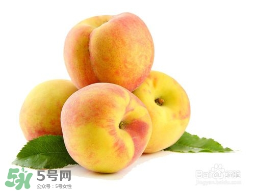 桃子的種類有哪些？哪種桃子最好吃？