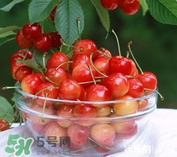 櫻桃是熱性還是涼性？櫻桃能多吃嗎？