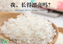 大米可以包粽子嗎？包粽子大米要泡多久？