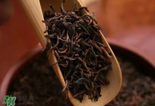 普洱茶能不能天天喝？天天喝普洱茶好嗎？