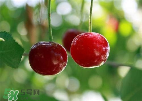 哺乳期能吃櫻桃嗎？哺乳期吃櫻桃寶寶會(huì)上火嗎？