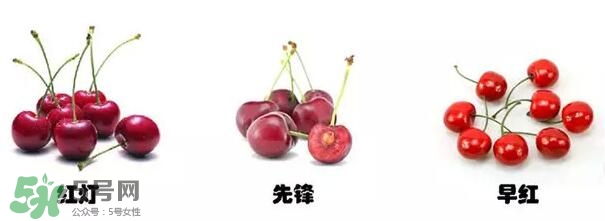 櫻桃和車?yán)遄佑惺裁磪^(qū)別？櫻桃和車?yán)遄幽膫€(gè)貴？