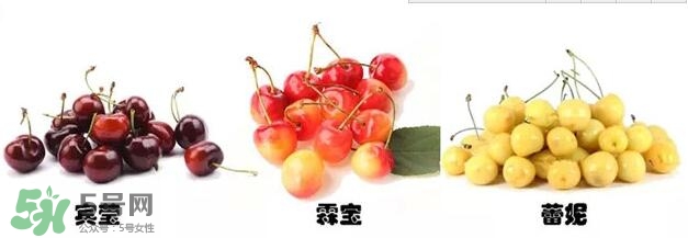 櫻桃和車?yán)遄佑惺裁磪^(qū)別？櫻桃和車?yán)遄幽膫€(gè)貴？