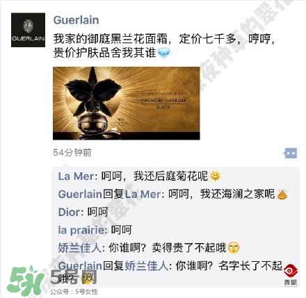 嬌蘭和嬌蘭佳人一樣嗎？嬌蘭和嬌蘭佳人什么聯(lián)系？