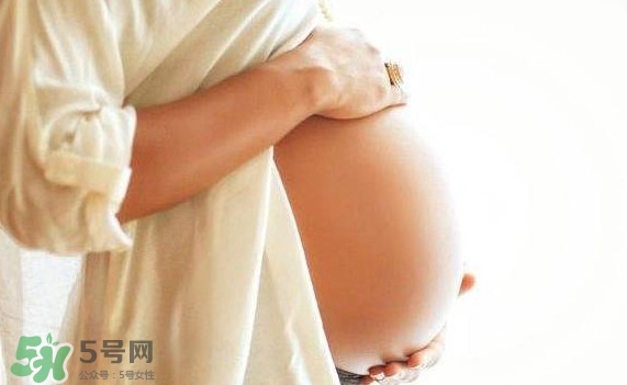 孕婦可以吃肉松蛋糕嗎？孕婦能吃肉松面包嗎