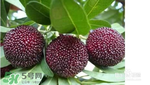 楊梅怎么吃好吃？楊梅怎么吃不酸？