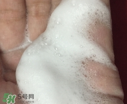 百雀羚三生花洗面奶多少錢？百雀羚三生花洗面奶價格