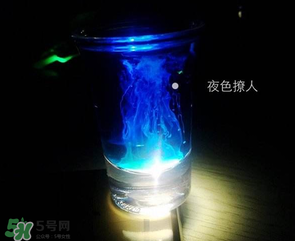 僵尸雞尾酒配方是什么？僵尸雞尾酒配方做法