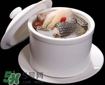 干鱷魚肉怎么吃？鱷魚肉怎么吃治咳嗽？