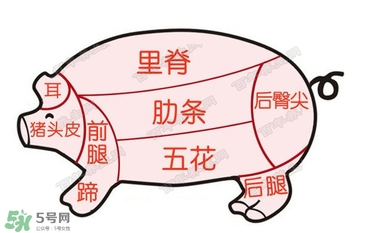 后臀尖多少錢一斤？豬后臀尖在哪？