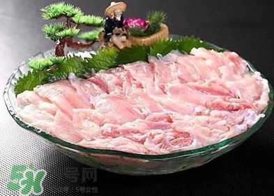 鱷魚肉是發(fā)物嗎？鱷魚肉是不是發(fā)物