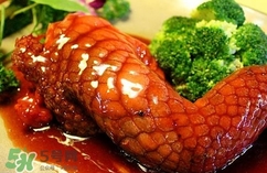 鱷魚肉是寒性的嗎？ 鱷魚肉是寒性還是溫性？
