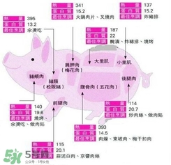 里脊肉是哪個部位？里脊肉是哪里的肉