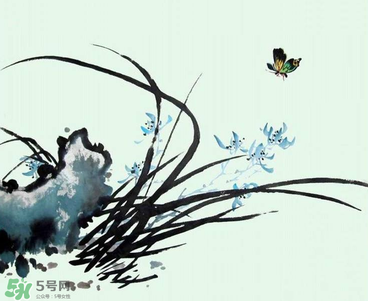 空谷幽蘭是什么書？空谷幽蘭講的是什么？