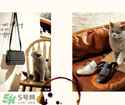 belle是什么牌子？百麗是哪個國家的品牌？