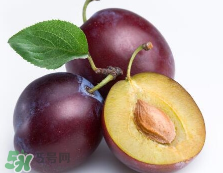 三華李可以放多久？三華李可以冷藏嗎？