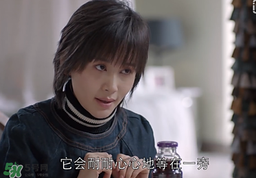 蒼蠅粉是什么意思？蒼蠅粉是什么東西？