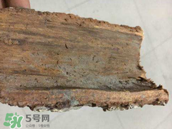 安哥拉樹皮的功效 安哥拉樹皮怎么用？