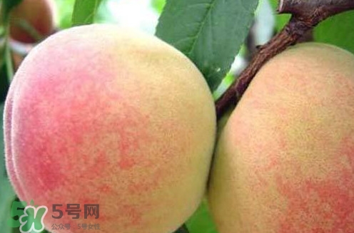 陽山水蜜桃?guī)自路萆鲜?？陽山水蜜桃上市時(shí)間