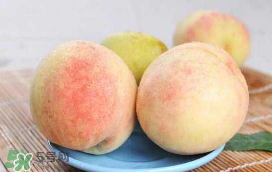 陽(yáng)山水蜜桃多少錢一斤？無(wú)錫陽(yáng)山水蜜桃價(jià)格