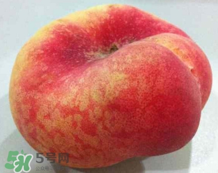 盤桃是蟠桃嗎？盤桃和蟠桃一樣嗎