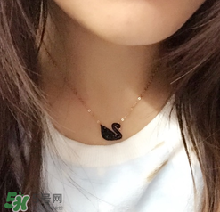 施華洛世奇黑天鵝是什么材質(zhì)？施華洛世奇黑天鵝是水晶嗎？