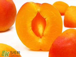杏子幾月成熟？杏子什么時(shí)候成熟？