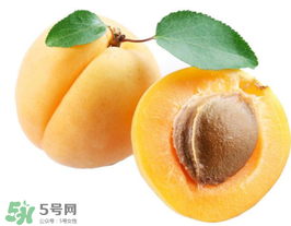 杏子幾月成熟？杏子什么時(shí)候成熟？