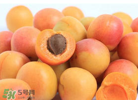 杏子一天吃幾個？杏子一次可以吃多少？