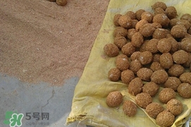 松花蛋是怎么做出來(lái)的？松花蛋的家庭腌制方法