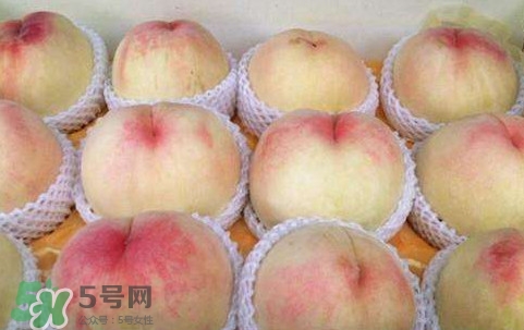 無錫水蜜桃多少錢一斤2017？無錫水蜜桃什么時候上市