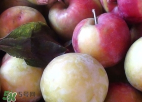南華李什么時候成熟？南華李和三華李的區(qū)別