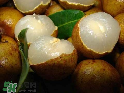龍眼和桂圓是一種東西嗎？龍眼和桂圓的區(qū)別