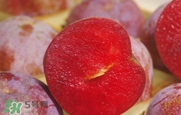 三華李可以和香蕉一起吃嗎？香蕉能和三華李一起吃嗎