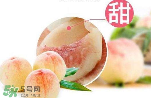 陽(yáng)山水蜜桃多少錢一斤？無(wú)錫陽(yáng)山水蜜桃價(jià)格