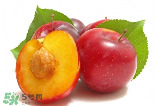 三華李可以放多久？三華李可以冷藏嗎？