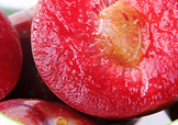 雙華李幾月可以吃？雙華李什么季節(jié)成熟