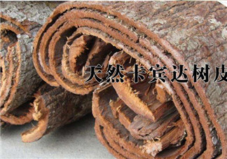 安哥拉樹皮能天天吃嗎？安哥拉樹皮天天吃可以嗎？