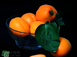 杏子可以和芒果一起吃嗎？吃完杏子可以吃芒果嗎？