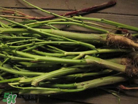 莧菜桿能吃嗎？莧菜桿子可以吃嗎？