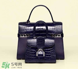 delvaux2017春夏系列包包款式有哪些_好看嗎？