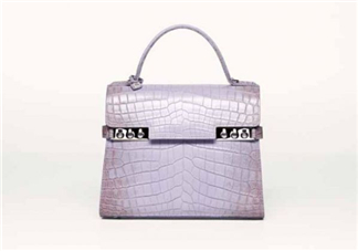 delvaux2017春夏系列包包款式有哪些_好看嗎？