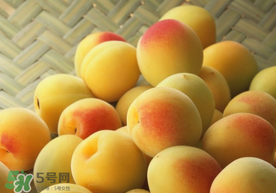 杏和雞蛋能一起吃嗎？杏子和雞蛋能一起吃嗎？