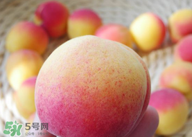 杏的熱量高嗎？一個杏的熱量是多少？