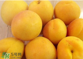 杏吃多了會怎么樣？杏吃多了會不會上火?