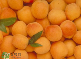 杏怎么催熟？杏怎么放熟的快？