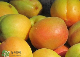 杏怎么催熟？杏怎么放熟的快？