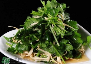 香菜是什么菜？香菜是陽痿草嗎？