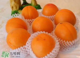 杏子可以放冰箱嗎？杏子可以冷藏嗎？
