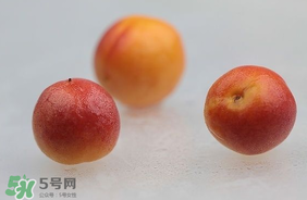 杏子怎么保存？長杏子怎么保存時間長？